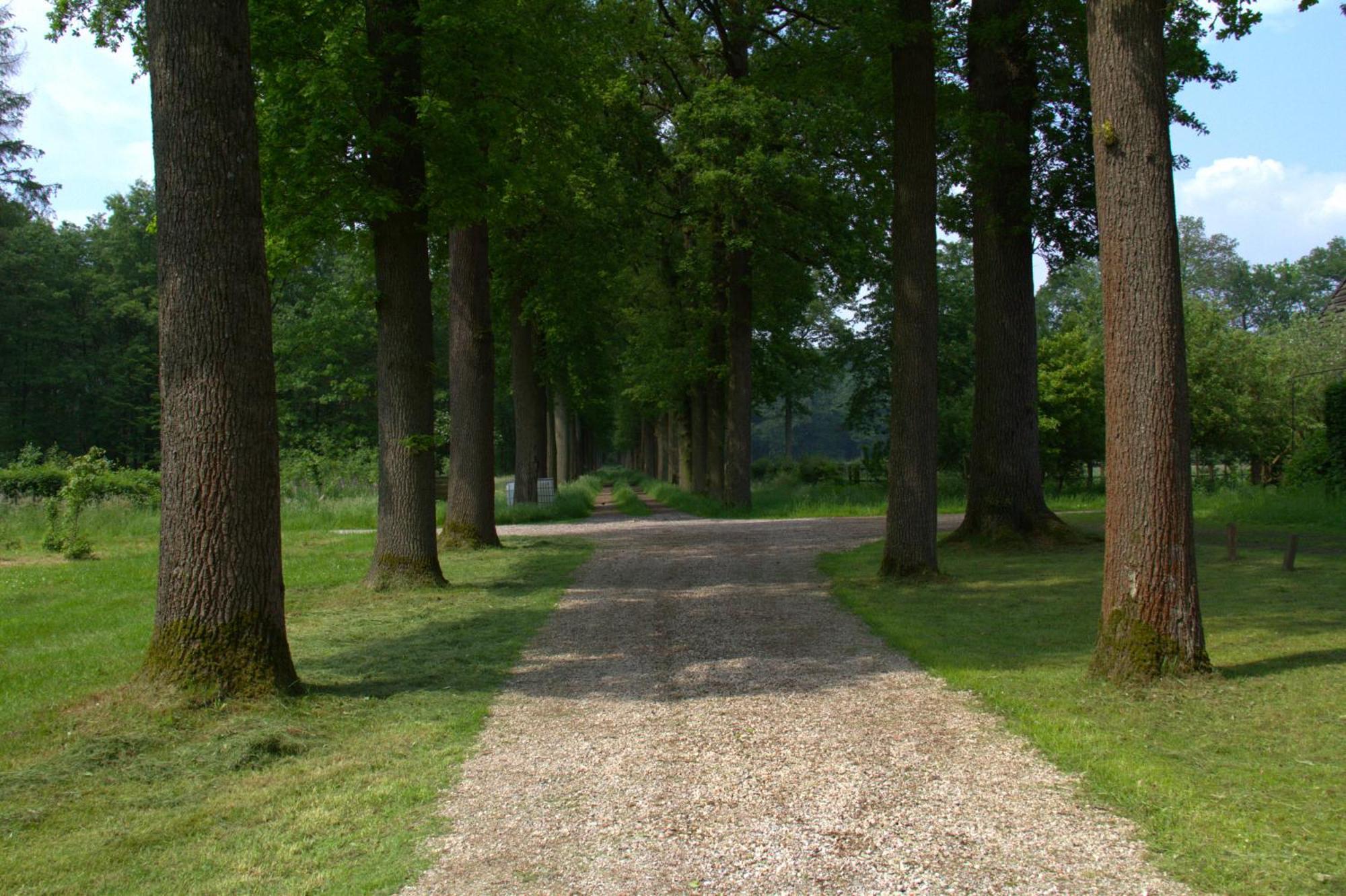 B&B Kasteel Den Tip Arendonk 외부 사진